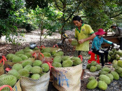 Ảnh bìa bài viết 584652
