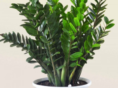 Ảnh bìa bài viết 585130
