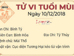 Ảnh bìa bài viết 585155