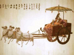 Ảnh bìa bài viết 585254