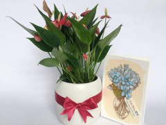 Ảnh bìa bài viết 585551