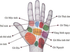 Ảnh bìa bài viết 585796