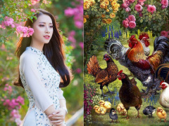 Ảnh bìa bài viết 586036