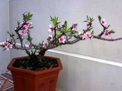 Ảnh bìa bài viết 586197