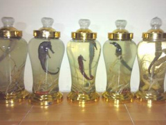 Ảnh bìa bài viết 586293