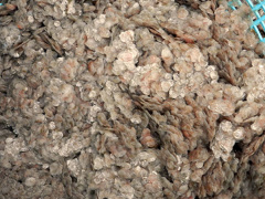 Ảnh bìa bài viết 586215