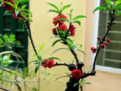Ảnh bìa bài viết 586523