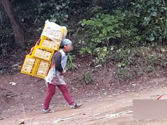 Ảnh bìa bài viết 586774
