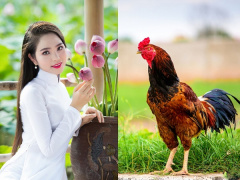 Ảnh bìa bài viết 587160