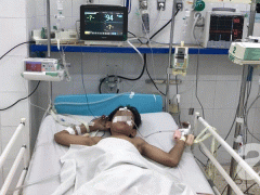 Ảnh bìa bài viết 587434