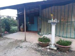 Ảnh bìa bài viết 587805