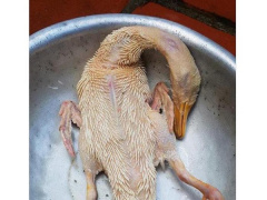 Ảnh bìa bài viết 588452