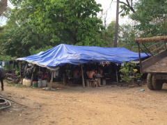 Ảnh bìa bài viết 588834