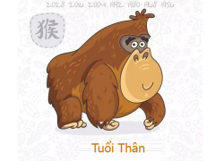 Ảnh bìa bài viết 588904