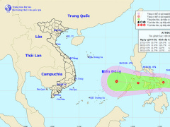 Ảnh bìa bài viết 589182