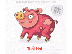 Ảnh bìa bài viết 589595