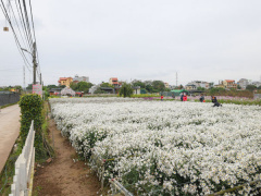 Ảnh bìa bài viết 589662