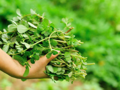 Ảnh bìa bài viết 589776