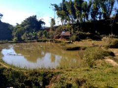 Ảnh bìa bài viết 589817