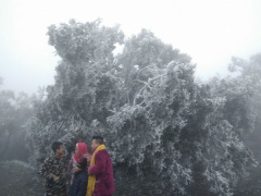 Ảnh bìa bài viết 589954
