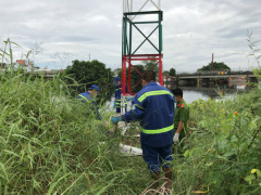 Ảnh bìa bài viết 590131