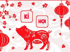 Ảnh bìa bài viết 590069
