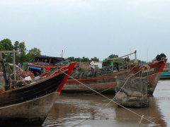 Ảnh bìa bài viết 590440