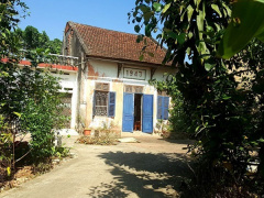 Ảnh bìa bài viết 590203