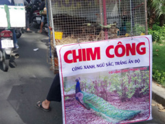Ảnh bìa bài viết 590276