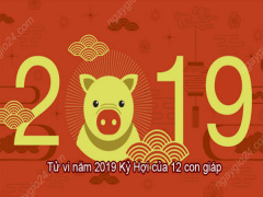 Ảnh bìa bài viết 590412