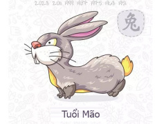 Ảnh bìa bài viết 590218
