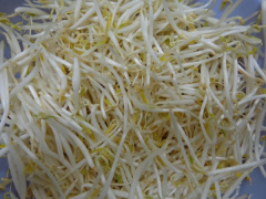 Ảnh bìa bài viết 590535