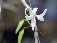 Ảnh bìa bài viết 590656