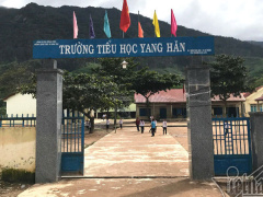Ảnh bìa bài viết 590632