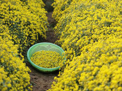 Ảnh bìa bài viết 590686