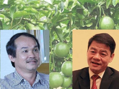 Ảnh bìa bài viết 590830