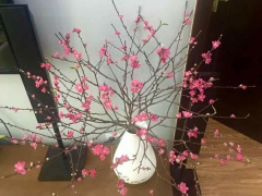 Ảnh bìa bài viết 591020