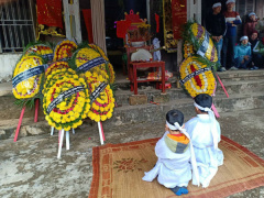 Ảnh bìa bài viết 591030