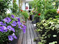 Ảnh bìa bài viết 591184