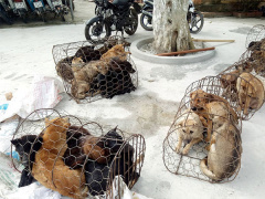 Ảnh bìa bài viết 591249
