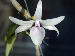 Ảnh bìa bài viết 591361