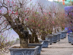 Ảnh bìa bài viết 591354