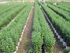 Ảnh bìa bài viết 591562