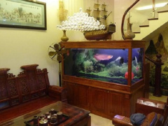 Ảnh bìa bài viết 592400
