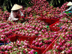 Ảnh bìa bài viết 592550