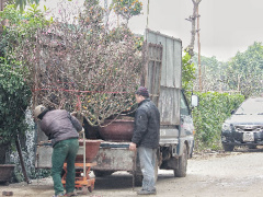 Ảnh bìa bài viết 593797