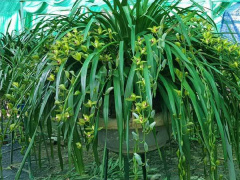 Ảnh bìa bài viết 593901