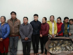 Ảnh bìa bài viết 594195