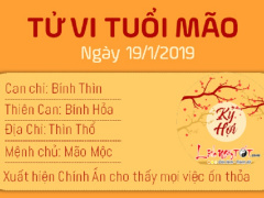 Ảnh bìa bài viết 594115