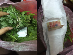 Ảnh bìa bài viết 594904